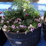 21コンテナ　世界の庭園前